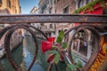 Rose at the bridge in Venice