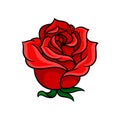 Rose with bright red petals. Old-school floral tattoo. Beautiful garden flower. Vector for greeting card, invitation or