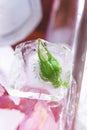 Rose bud frozen in a cube of ice Royalty Free Stock Photo