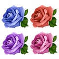 Rose buds blue, pink, purple and red. Vector Royalty Free Stock Photo