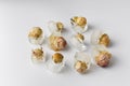 Rose buds in ice cubes on white isolated Royalty Free Stock Photo