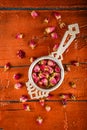 Rose buds tea Royalty Free Stock Photo