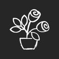 Rose bushes chalk white icon on black background