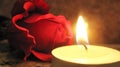 Rose and candle Royalty Free Stock Photo
