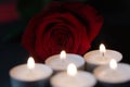 Rose with candles, red background Royalty Free Stock Photo