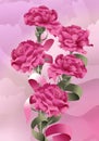 Rose carnations