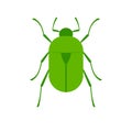 Rose Chafer icon