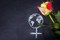 Rose and a chalk drawn female sign with earth globe on a blackbo Royalty Free Stock Photo