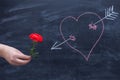 Rose on a chalkboard background, heart drawn in chalk