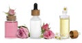 Rose and chamomile essential oils and flowers on white background, collage Royalty Free Stock Photo