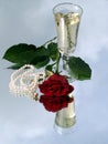Rose and champagne Royalty Free Stock Photo