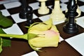 Rose and chess Royalty Free Stock Photo