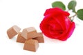 rose and chocolate