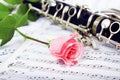 rose clarinet composition Royalty Free Stock Photo
