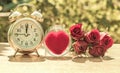 rose clock nature background Blurred surface and beautiful bokeh