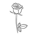 Rose contour image vector illustrations