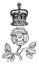 Rose and Crown Badge is a distinctive mark worn by servants, vintage engraving