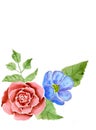 Rose and dog-rose