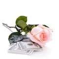 Rose and dollars.