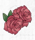 Rose draw Royalty Free Stock Photo