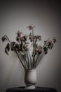 Rose dried in a ceramic vase. Left in the room with shadows.