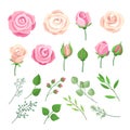Rose elements. Pink and white roses flowers with green leaves and buds. Watercolor floral romantic wedding decor Royalty Free Stock Photo