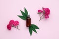 Rose essential oil bottle for face massage. Glass vial and green leaves on pink paper background, top view. Floral fragrance. Flat