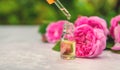 Rose essential oil in a bottle. Selective focus. Royalty Free Stock Photo