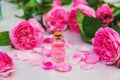 Rose essential oil in a bottle. Selective focus. Royalty Free Stock Photo