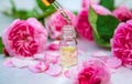 Rose essential oil in a bottle. Selective focus. Royalty Free Stock Photo