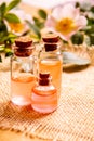 Rose essential oil rosehip Selective focus