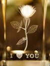 Rose etched in glass