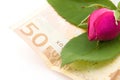 Rose and euro Royalty Free Stock Photo