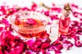 Rose face pack for dry skin isolated on white i.e. Rose petals well mixed with rose oil and glycerin in a glass bowl