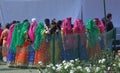 Rose Festival, Cultural Show, Chandigarh, India