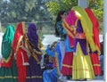 Rose Festival, Cultural Show, Chandigarh, India