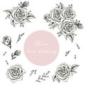 Rose fine line drawing collection, black and white vintage roses botanical isolated set, detailed hand drawn illustration Royalty Free Stock Photo
