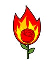 Rose in fire tattoo isolated. Vector illustration Royalty Free Stock Photo