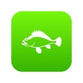 Rose fish, Sebastes norvegicus icon digital green