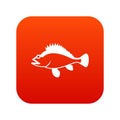 Rose fish, Sebastes norvegicus icon digital red