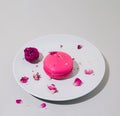 Rose flavour macaroon on a plate on  pastel background Royalty Free Stock Photo