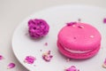 Rose flavour macaroon on a plate on pastel background Royalty Free Stock Photo