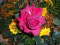 Rose, a floral arrangement created by nature