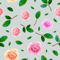 Rose floral seamless pattern with blooming pink and yellow flowers, green leaves on blue gray background. Royalty Free Stock Photo