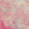 Rose floral shabby chic background pattern