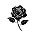 Elegant Black Rose Vector Art Royalty Free Stock Photo