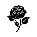 Elegant Black Rose Vector Art Royalty Free Stock Photo