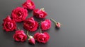 Rose flower arrangement on black background Royalty Free Stock Photo