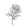 Rose flower black linedrawing Royalty Free Stock Photo