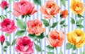 Rose Flower blossom stripe watercolor seamless wallpaper